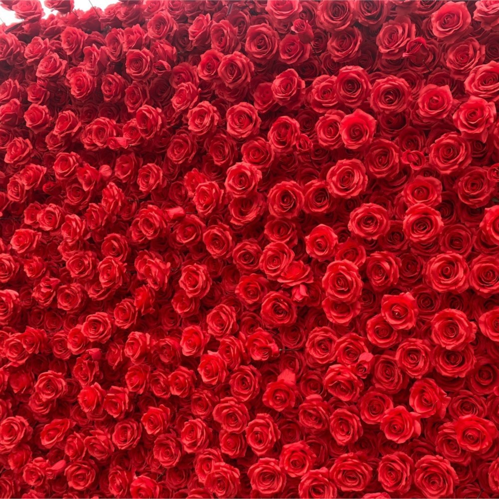 Uflower Red Rose 5D Cloth Flow - Wedding Backdrop Curtain avis et prix