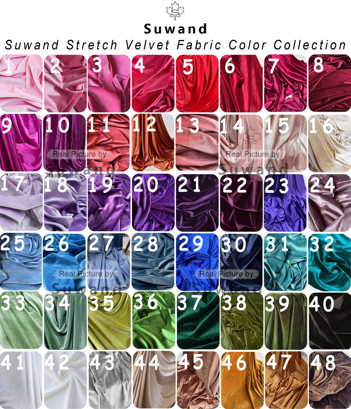 Soft Velvet Fabric for Women F - Wedding Backdrop Curtain avis et prix